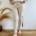 Hose von boohoo Gr. 38